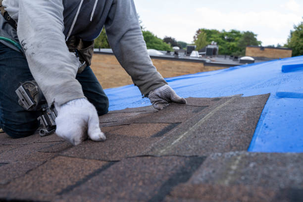 Best Roof Repair Services  in Bushnell, IL