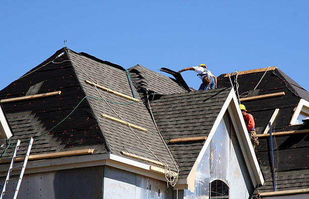 Best Shingle Roofing Installation  in Bushnell, IL