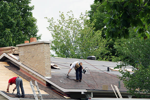 Best Gutter Installation and Roofing  in Bushnell, IL