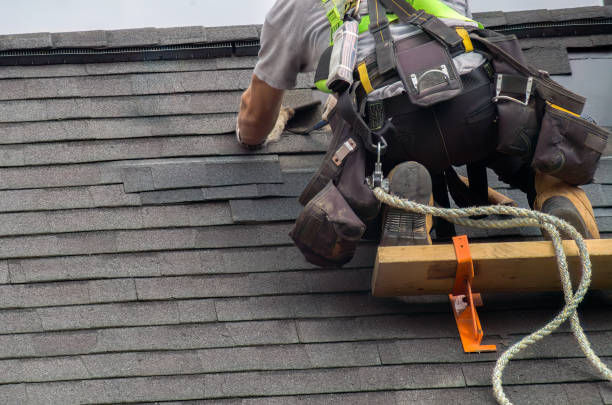 Best Metal Roofing Contractor  in Bushnell, IL