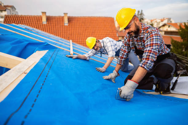 Best Best Roofing Contractors  in Bushnell, IL