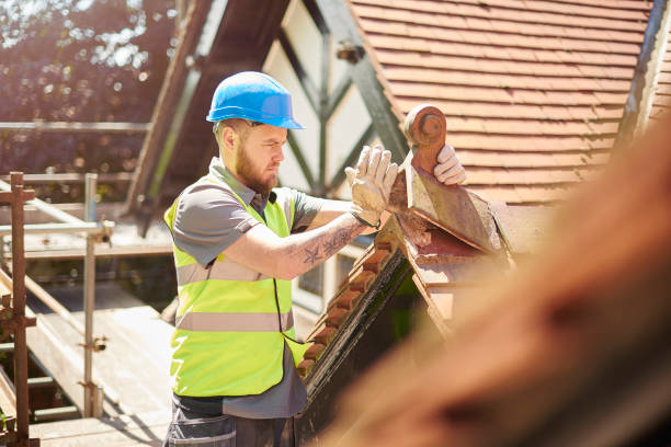 Best Residential Roofing Contractor  in Bushnell, IL